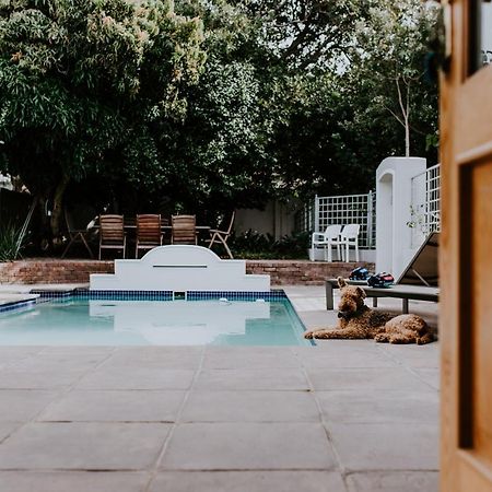 Bed and Breakfast The Victorian Goose (Adults Only) Ciudad del Cabo Exterior foto